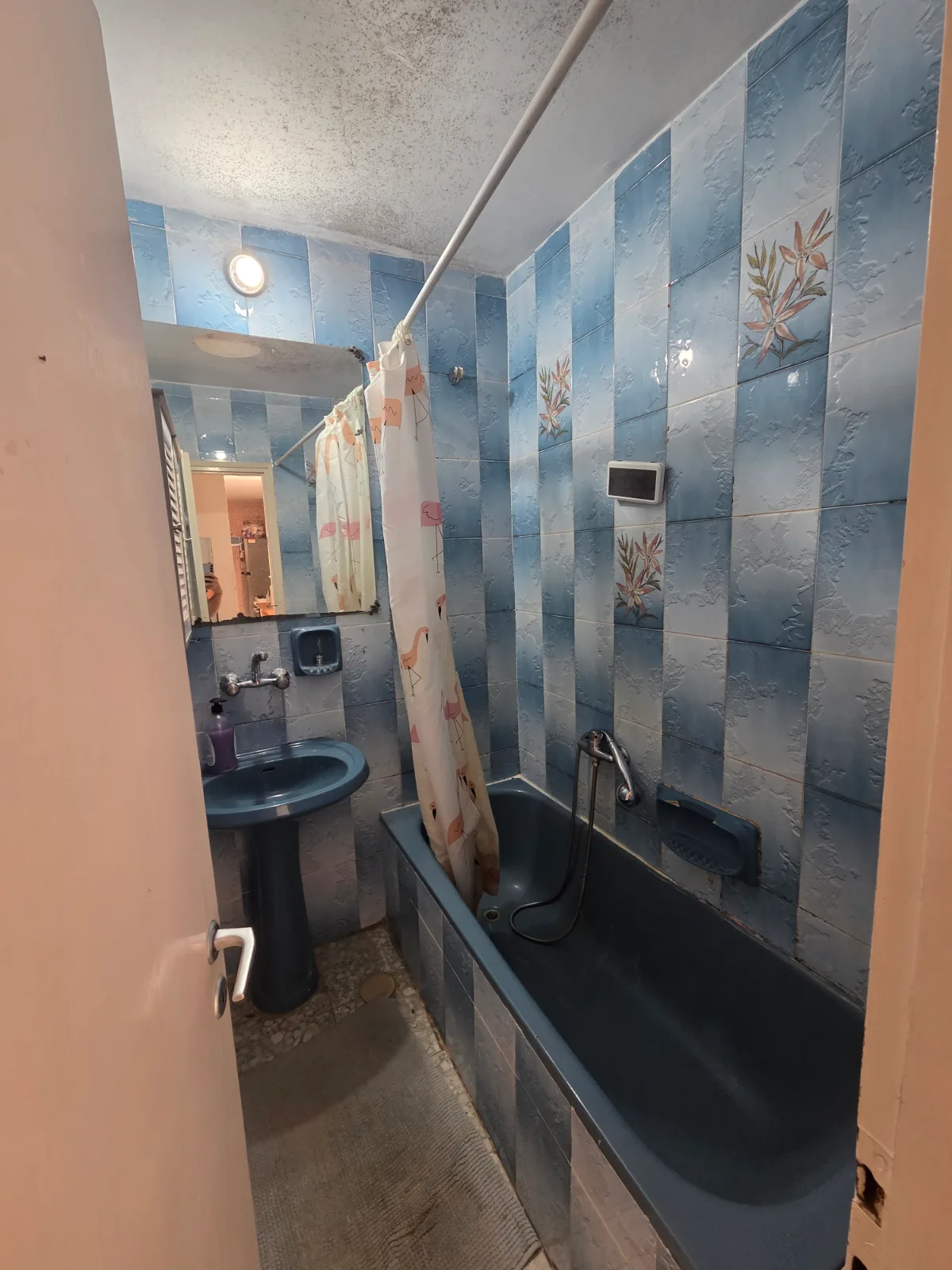 דירת גן עם 4 שותפים, חצר בכניסה וחצר פנימית — תמונה 7